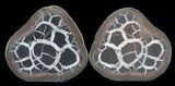 1" Cut and Polished Septarian Nodules - Photo 2
